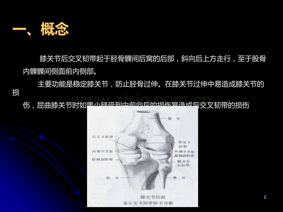 后交叉韧带重建康复治疗-.ppt_第2页