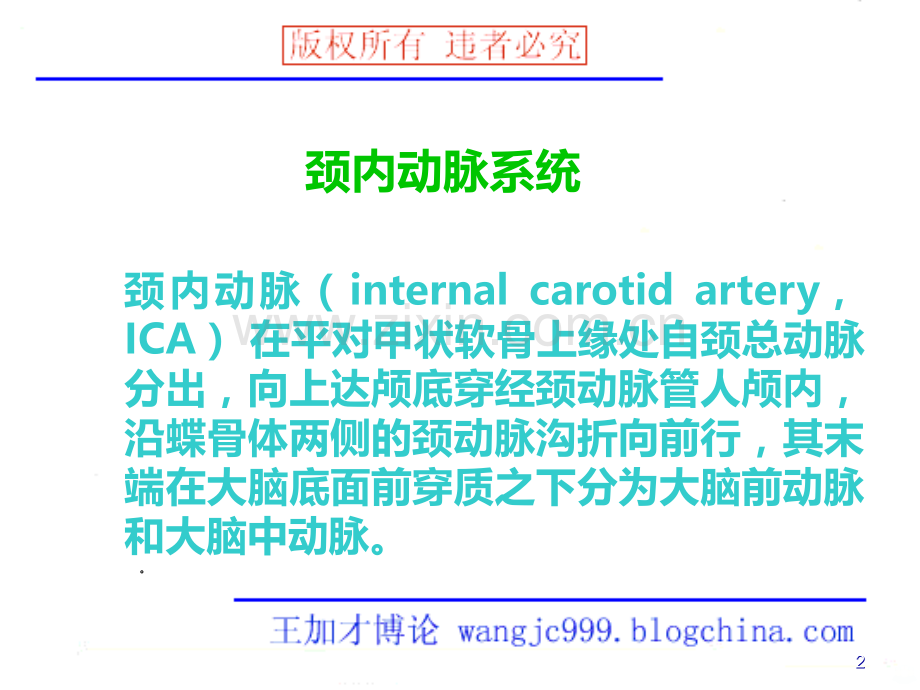 大脑前动脉影像学.ppt_第2页