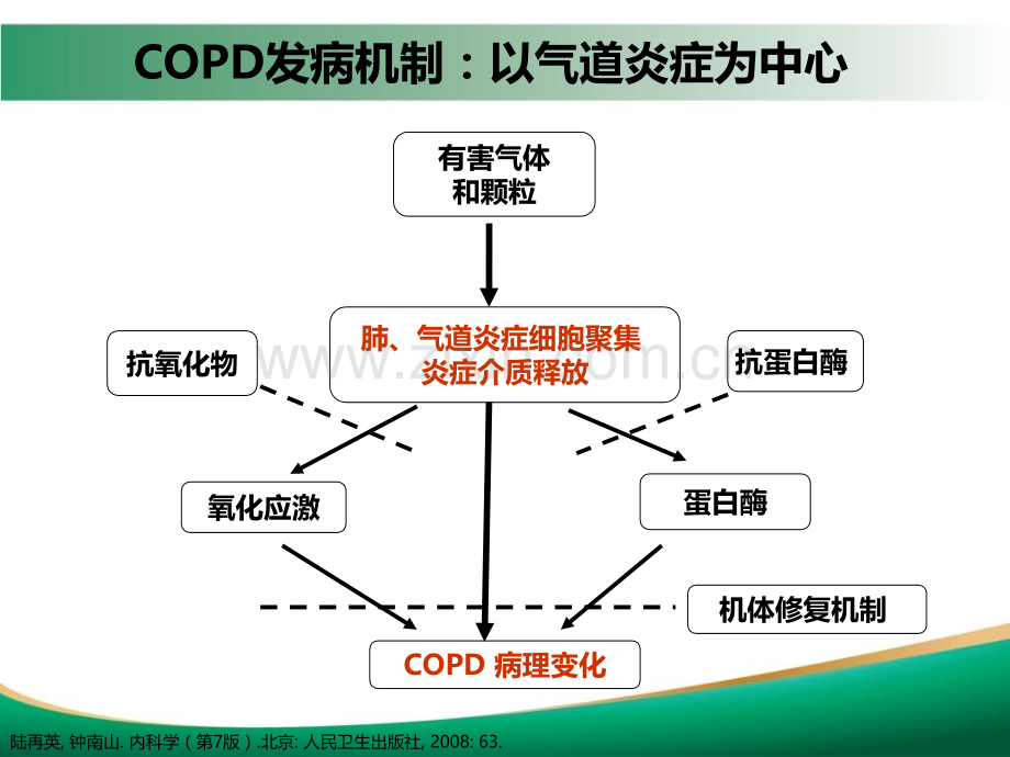 copd常见合并症的现状及其治疗进展.pptx_第3页
