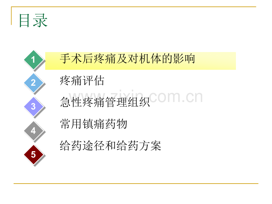 术后疼痛处理.ppt_第2页