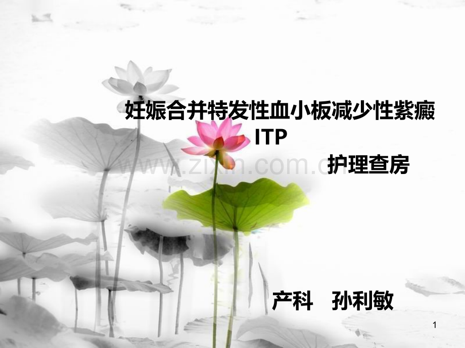 妊娠合并特发性血小板减少性紫癜.ppt_第1页