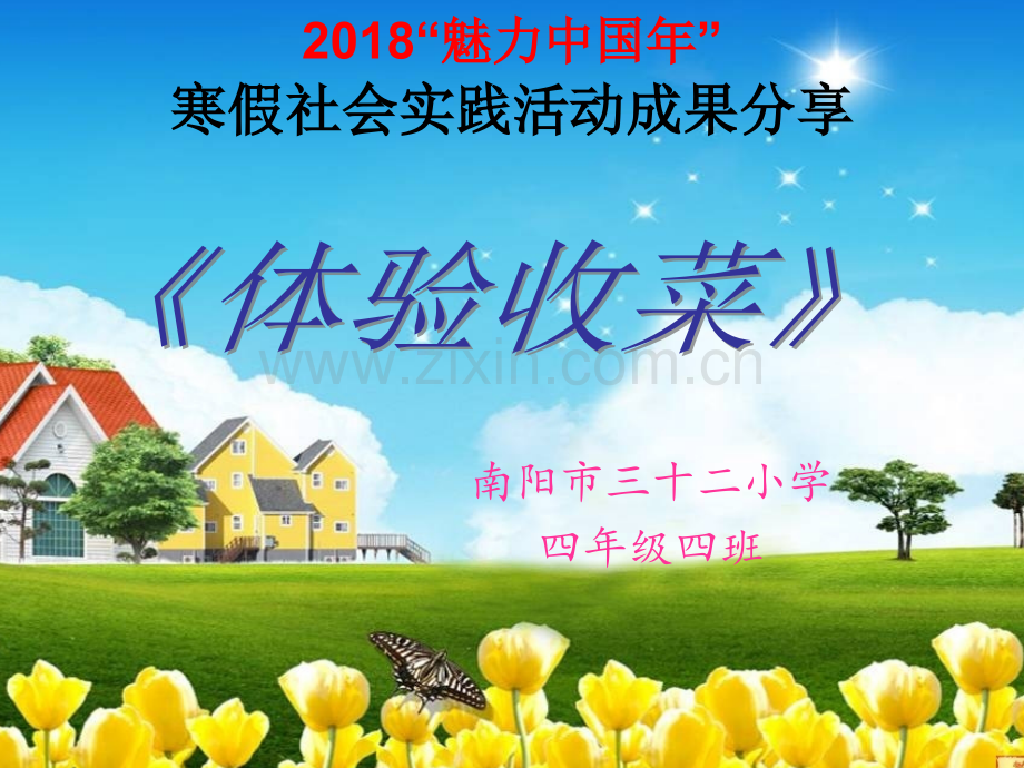 小学生寒假社会实践活动.ppt_第1页