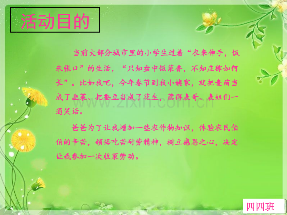小学生寒假社会实践活动.ppt_第2页
