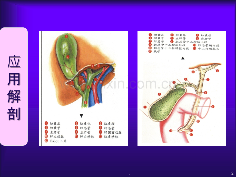 大连医科大学附属第二医院.ppt_第2页