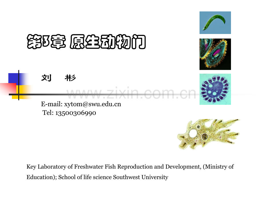 动物学-A-原生动物--2016.ppt_第1页
