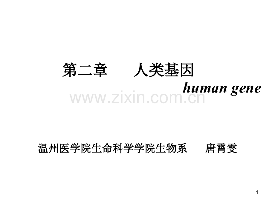 双语医学遗传学第二章人类基因1新版.ppt_第1页