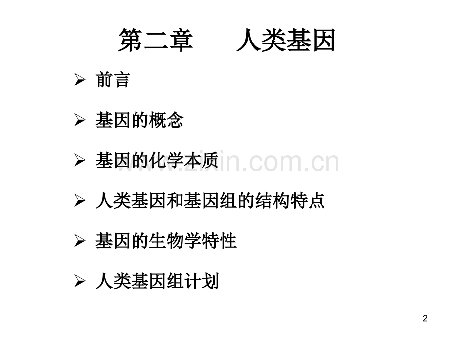 双语医学遗传学第二章人类基因1新版.ppt_第2页