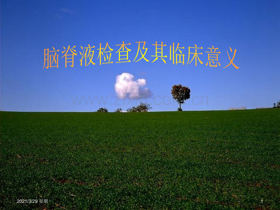 脑脊液检查与分析.ppt_第1页