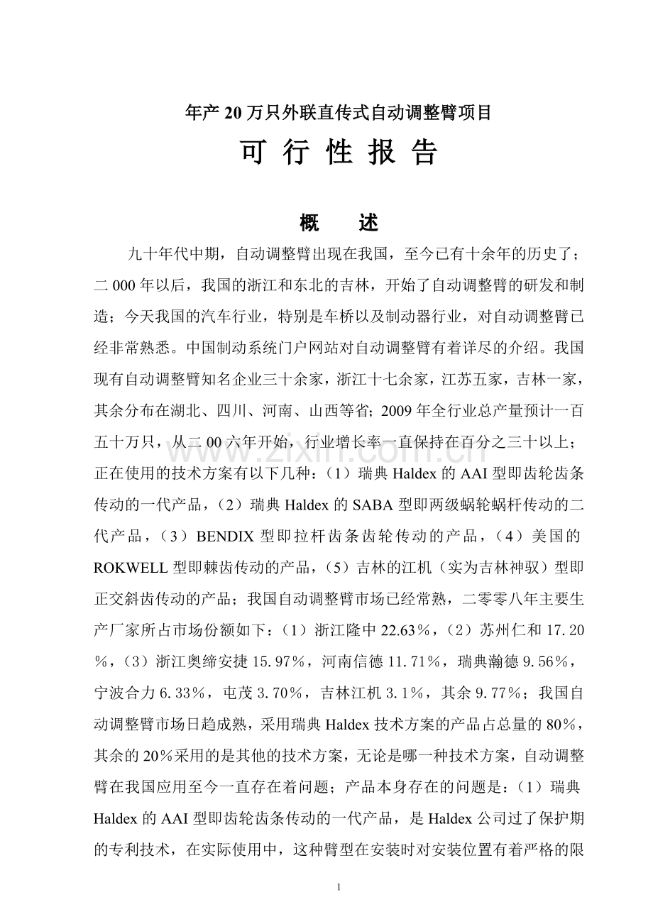 可行性报告(年产20万只).doc_第1页