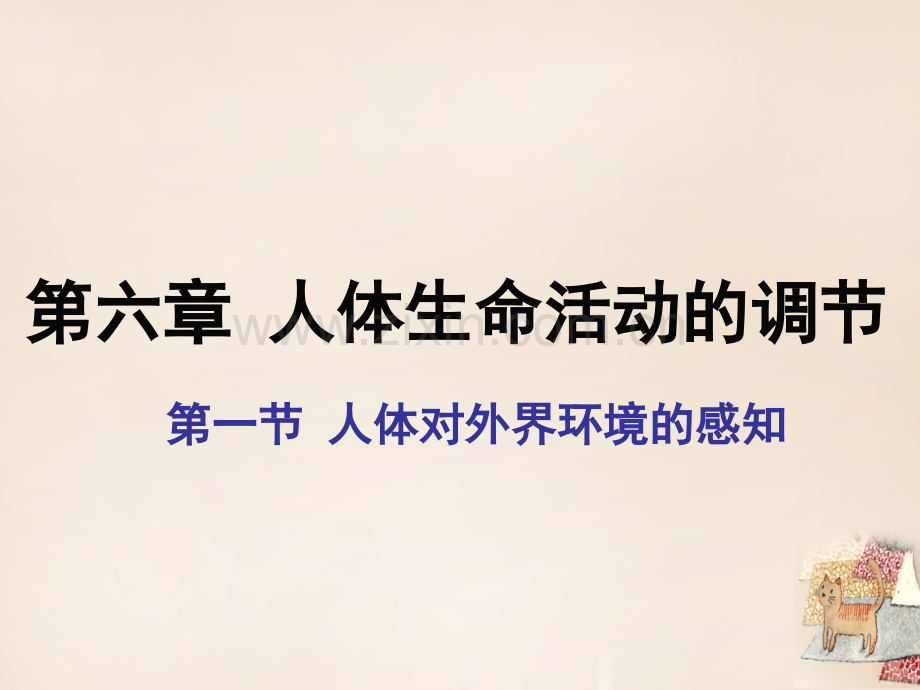 七年级生物下册六一节人体对外界环境的感知.ppt_第1页