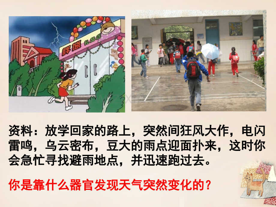 七年级生物下册六一节人体对外界环境的感知.ppt_第2页