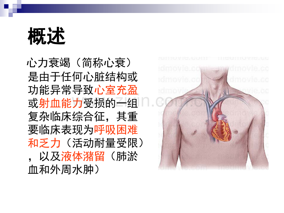 2016急性左心衰的诊断和治疗.ppt_第2页