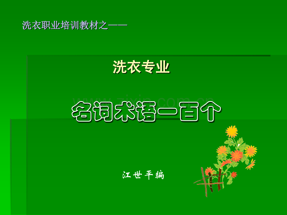 洗衣职业培训教材之《专业名词术语100个》.ppt_第1页