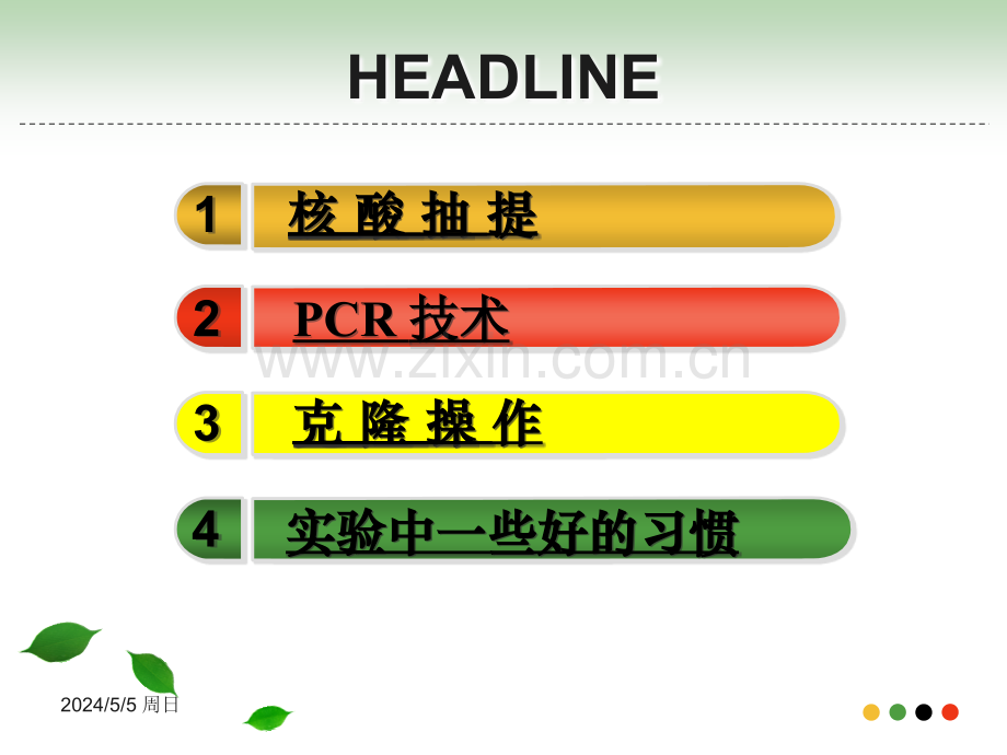 分子生物学基本实验操作模板.ppt_第2页