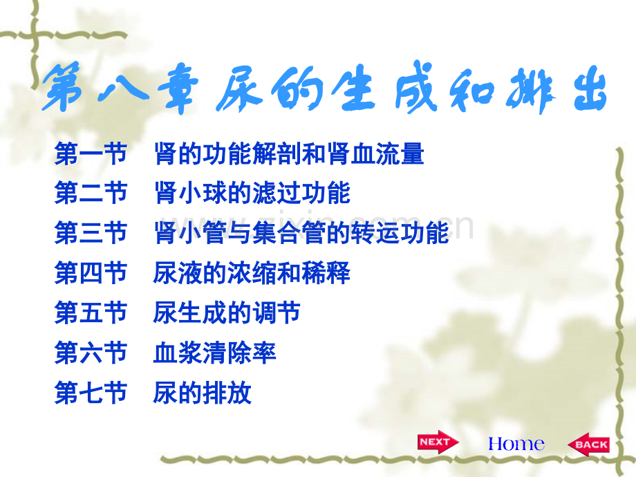 生理学尿的生成.ppt_第1页