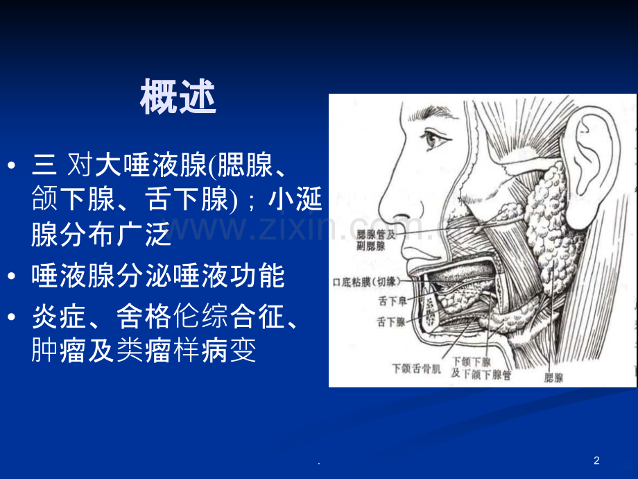 唾液腺常见疾病.ppt_第2页
