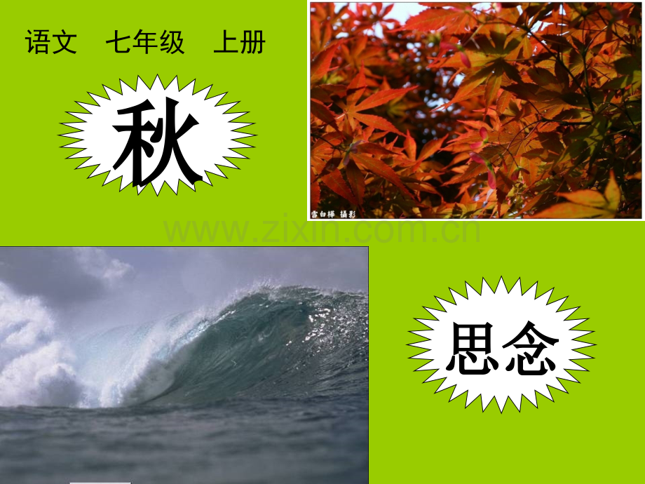4古诗四首(选).ppt_第1页