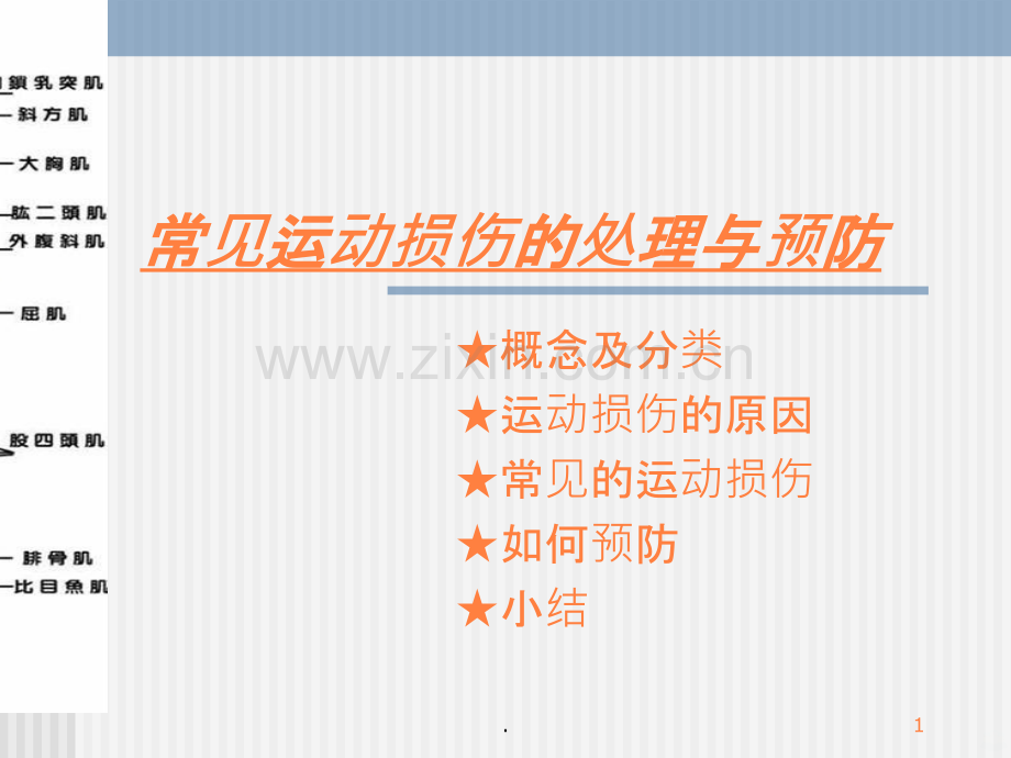 常见运动损伤的处理与预防.ppt_第1页
