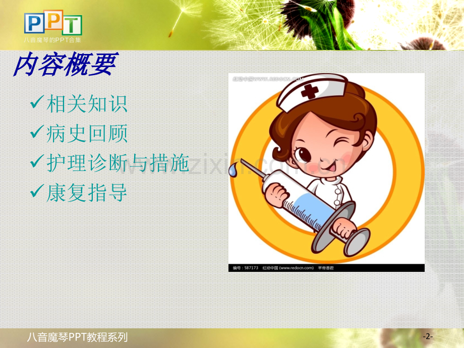 股骨干骨折查房.ppt_第2页