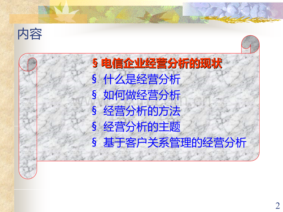 电信企业经营分析.ppt_第2页