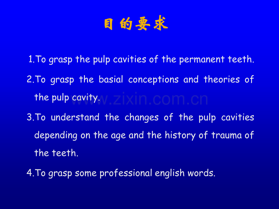 牙髓腔解剖英文.ppt_第2页