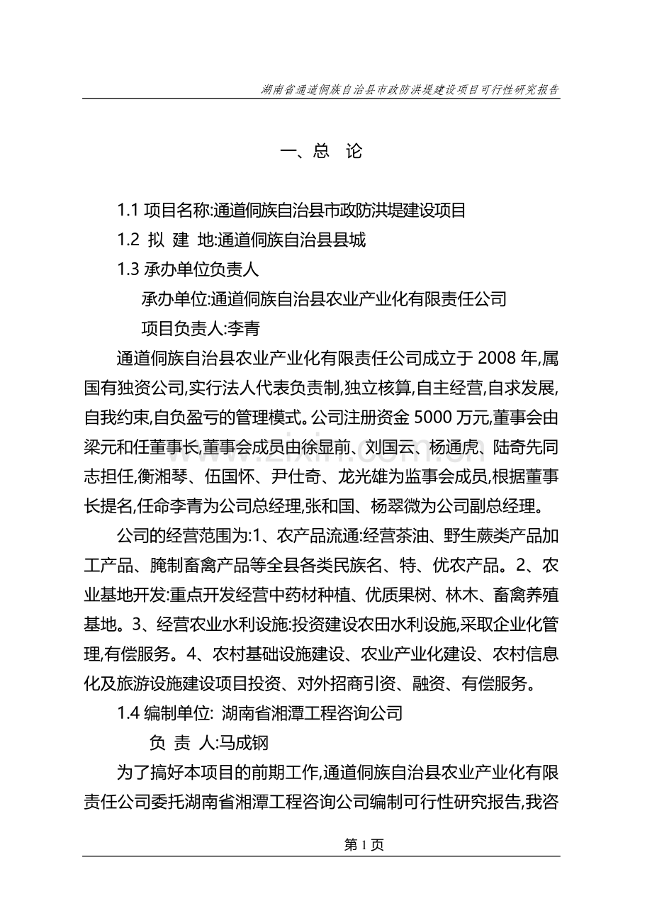 通道县城防洪工程可研报告.doc_第1页
