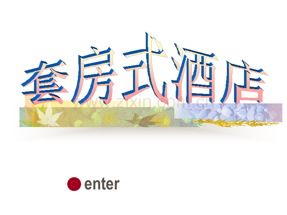 会议型酒店.ppt_第1页