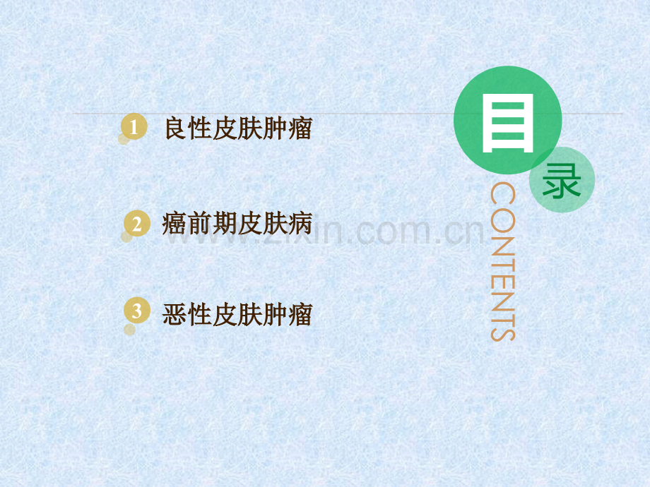 皮肤肿瘤-皮肤性病学.pptx_第2页