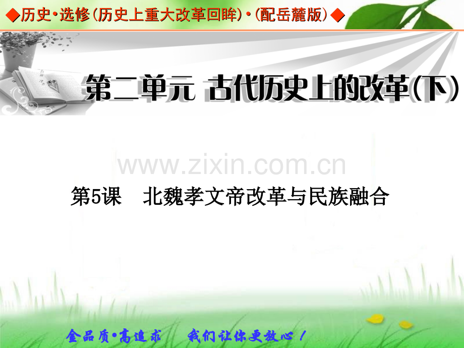 岳麓版历史选修一全册配套《北魏孝文帝改革与民族融合》.ppt_第1页