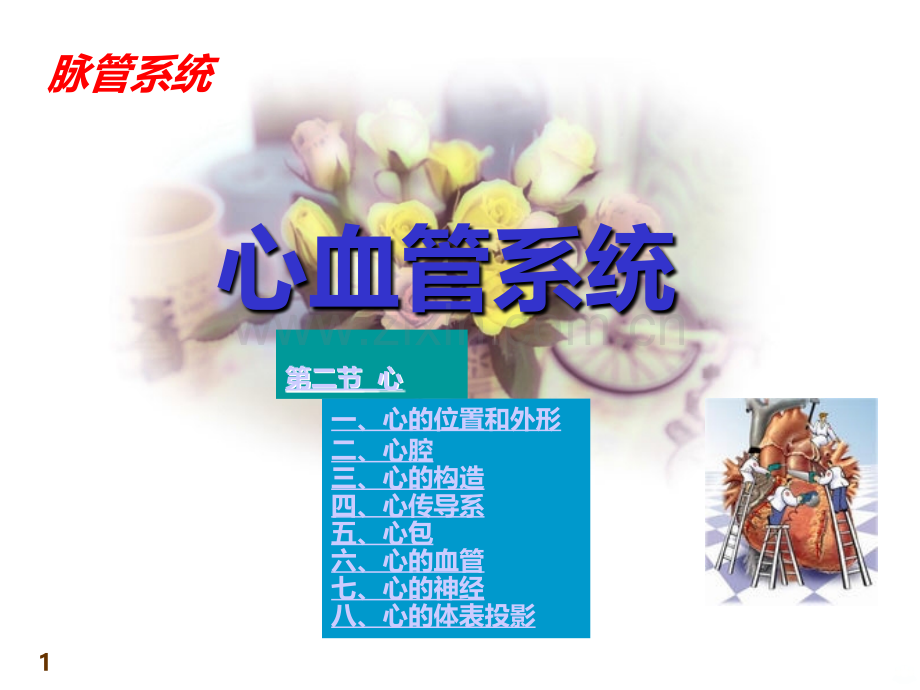 第一节：心位置及体表投影.ppt_第1页