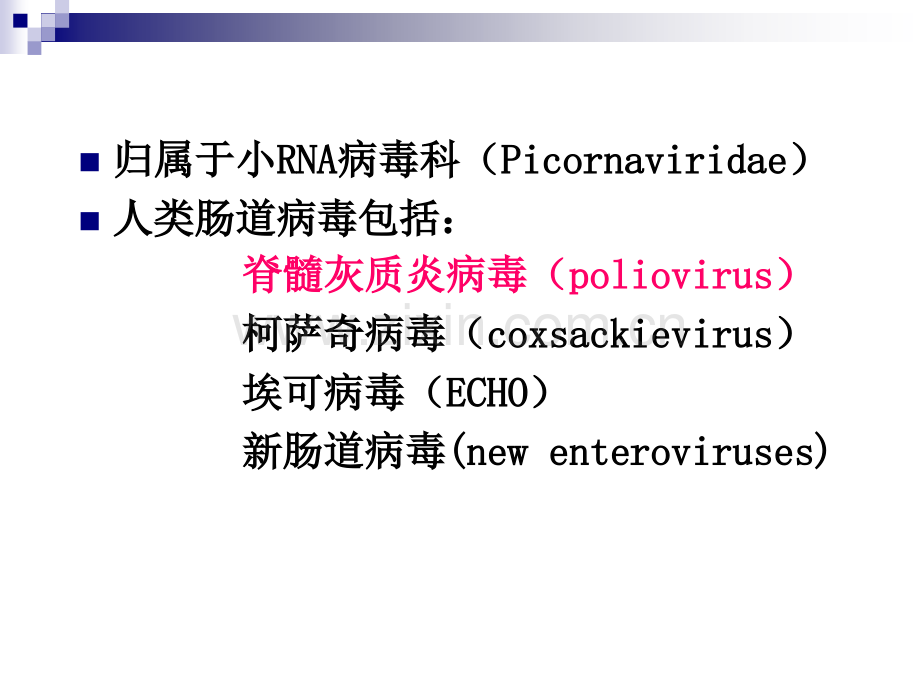 医学微生物学教学课件-张敏-第二十六章-肠道病毒.ppt_第2页