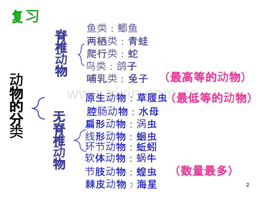 常见的植物.pptx_第2页