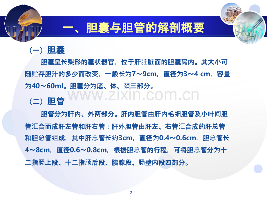 胆囊和胆管超声诊断.ppt_第2页