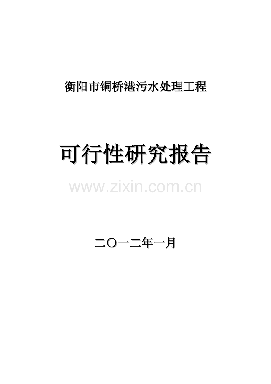 衡阳市铜桥港污水处理工程建设投资可行性分析论证报告.doc_第1页