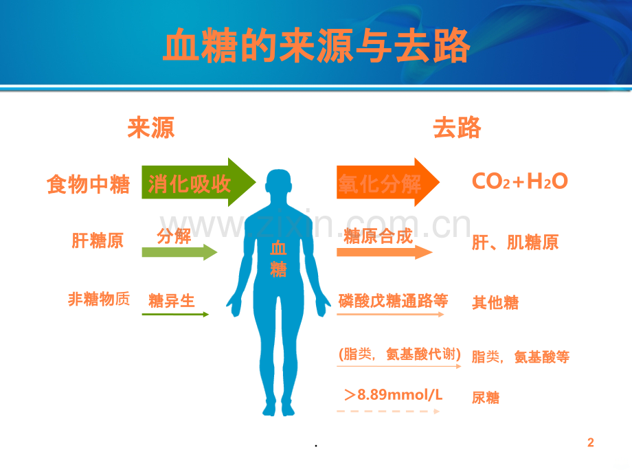 从细胞功能看2型糖尿病治疗ppt课件.ppt_第2页