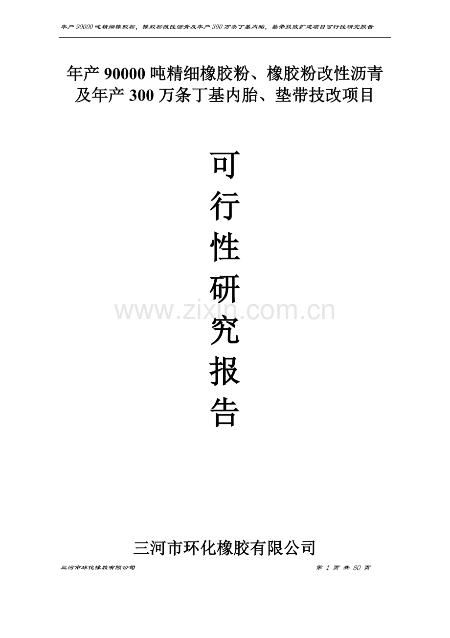 年产90000吨精细橡胶粉、橡胶粉改性沥青及年产300万条丁级内垫带技改项目投资可行性研究报告.doc_第1页