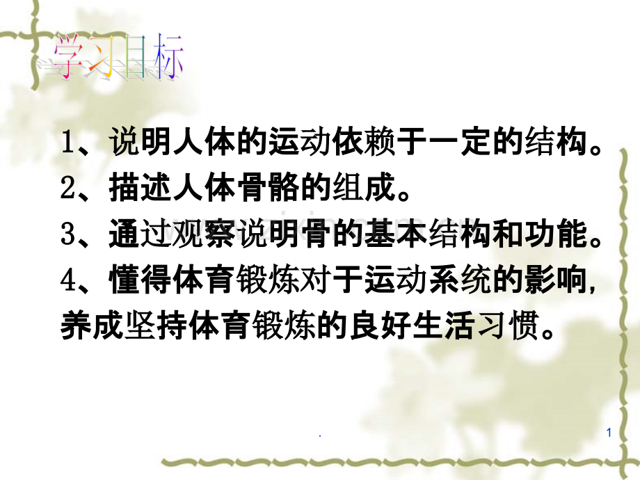 人体的支持与运动.ppt_第1页