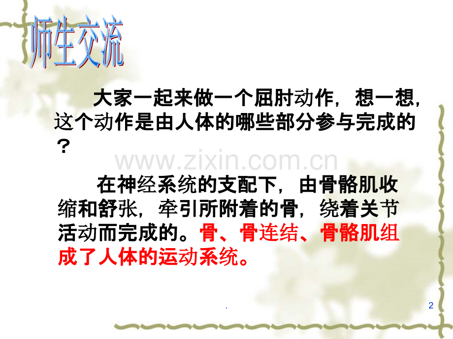 人体的支持与运动.ppt_第2页