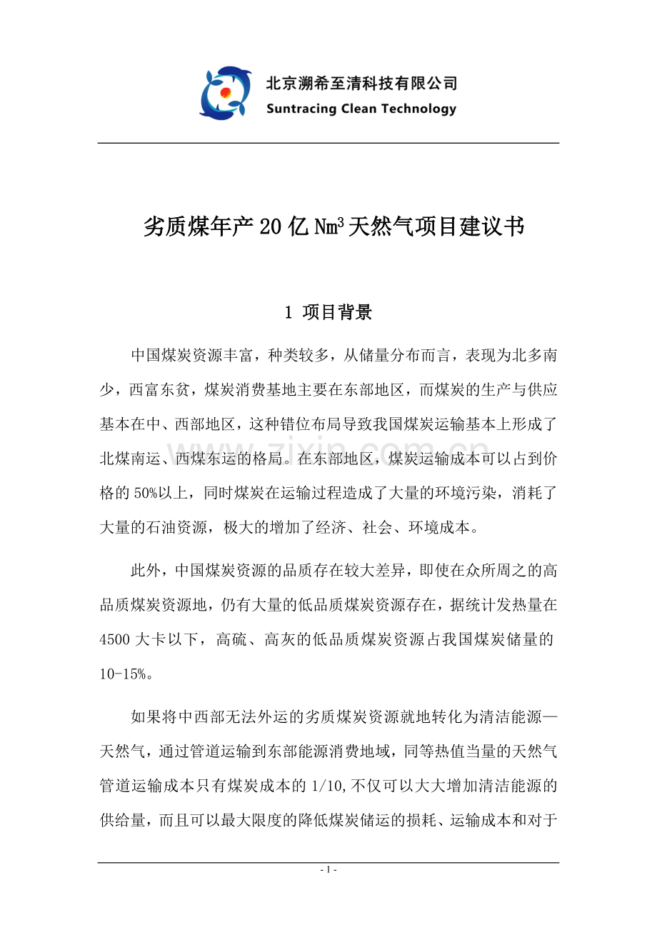 劣质煤年产20亿nm3天然气项目建设投资可行性研究报告.doc_第1页