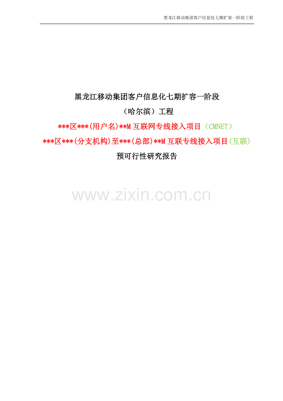 互联网专线接入项目预可行性研究报告.doc_第1页