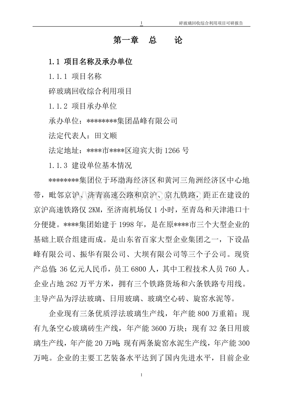 碎玻璃回收综合利用项目申请立项可行性研究报告-word版本.doc_第1页