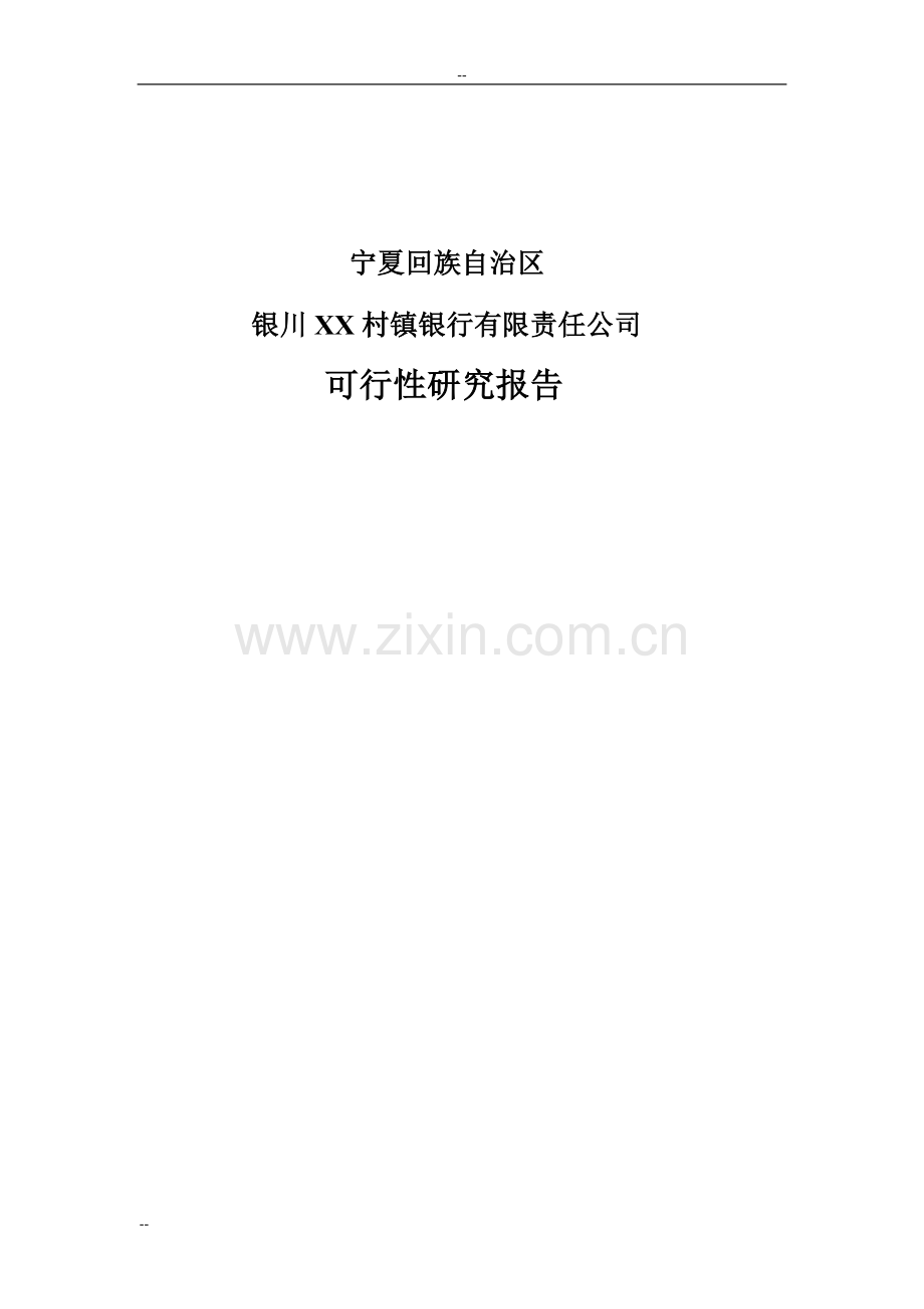 村镇银行有限责任公司新建项目可行性研究报告.doc_第1页