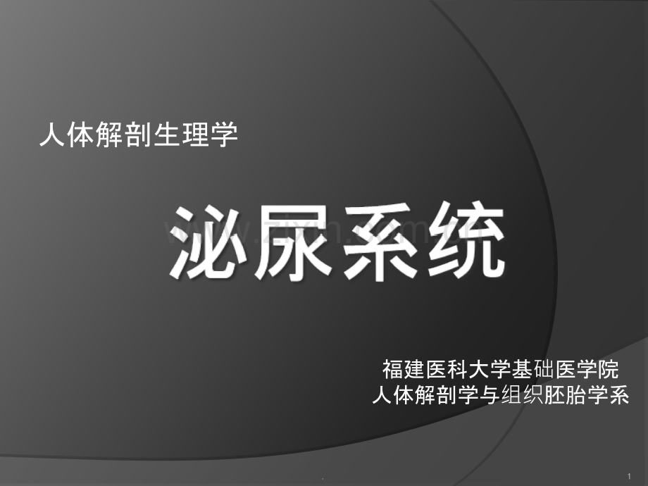 人体解剖生理学-泌尿系统.ppt_第1页
