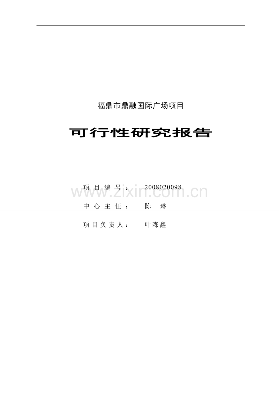 鼎融国际广场投资可行性研究报.doc_第1页