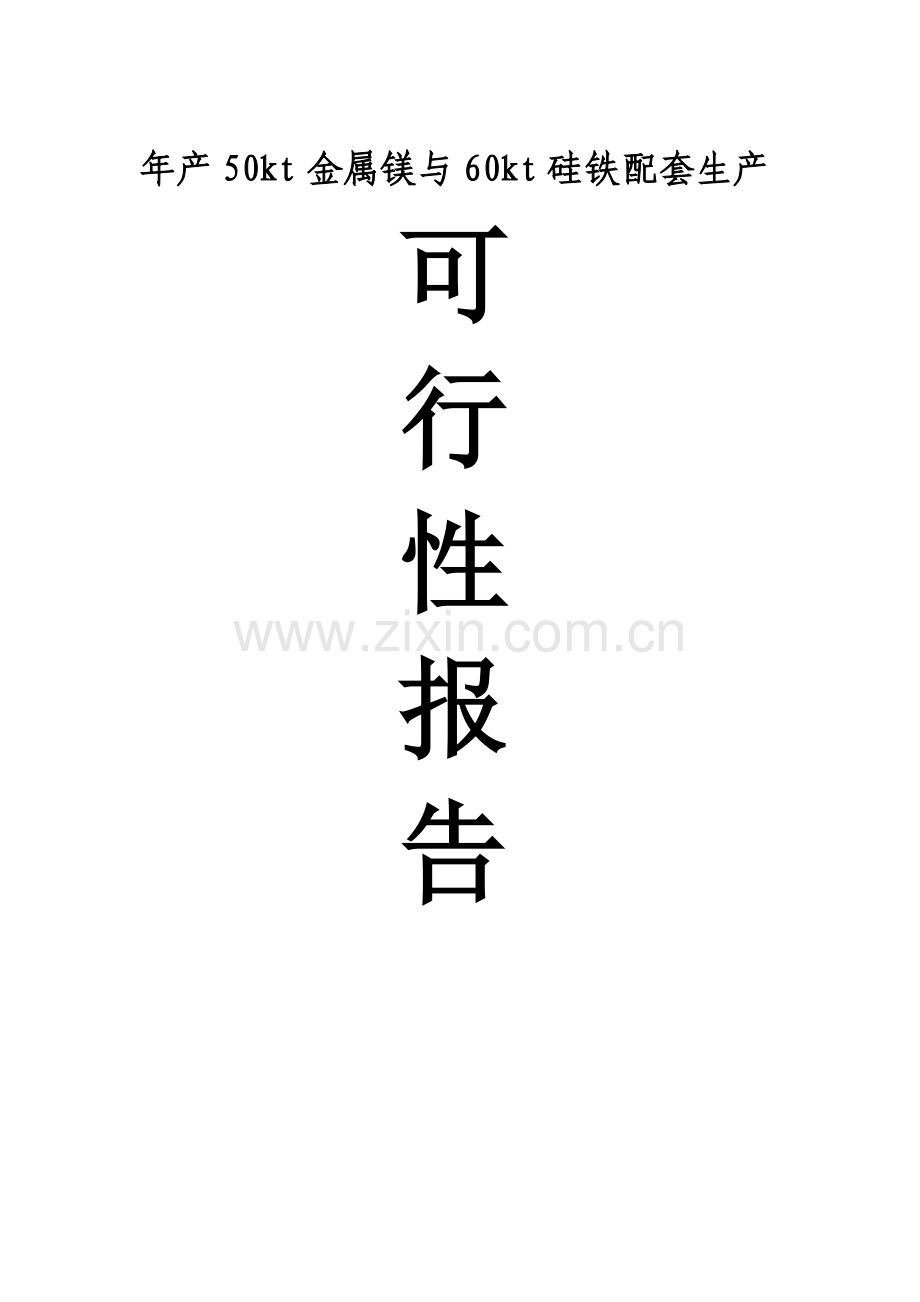 年产50kt金属镁与60kt硅铁配套生产项目可行性研究报告书.doc_第1页