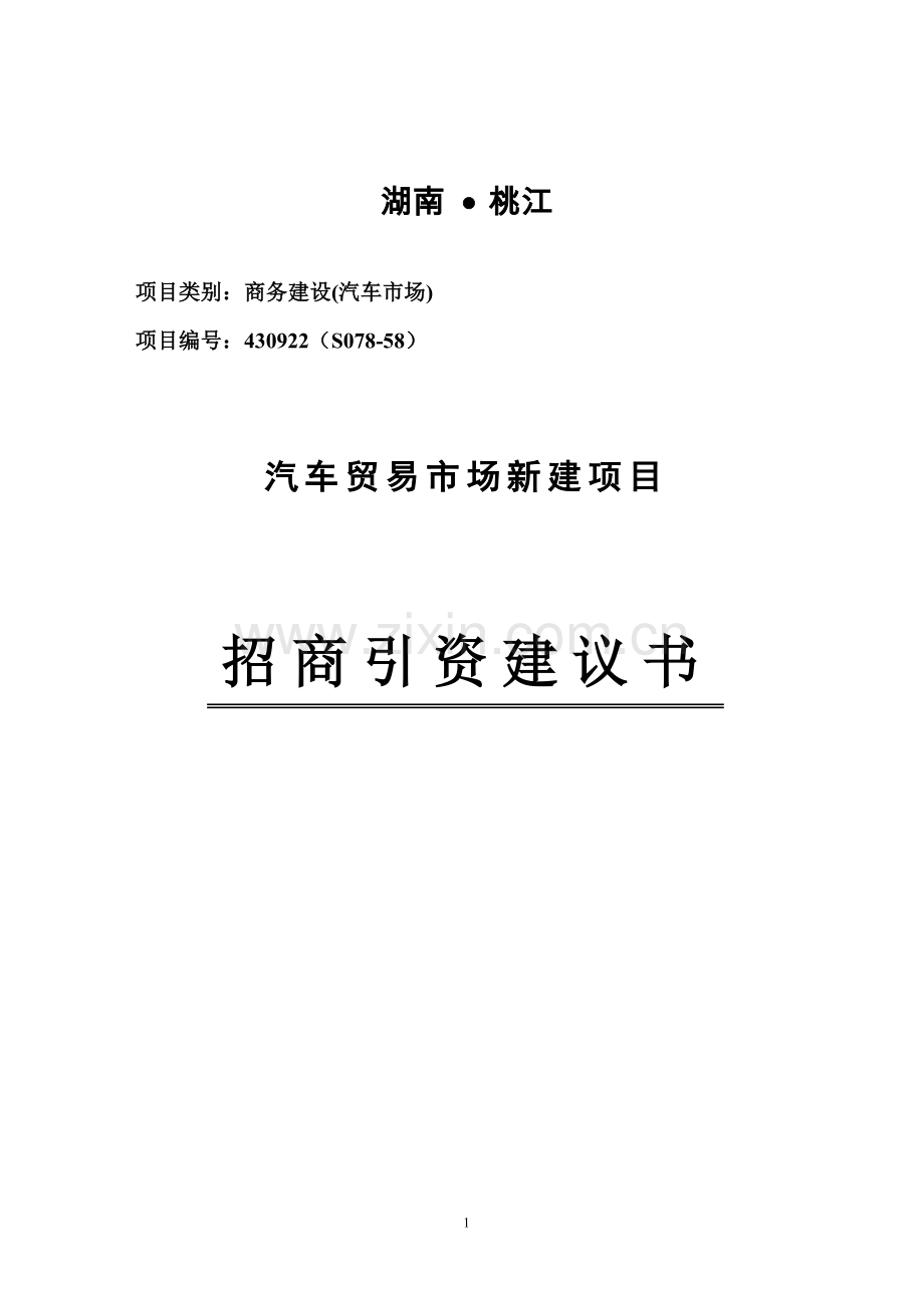 桃花江汽车市场项目项目可行性研究报告.doc_第1页