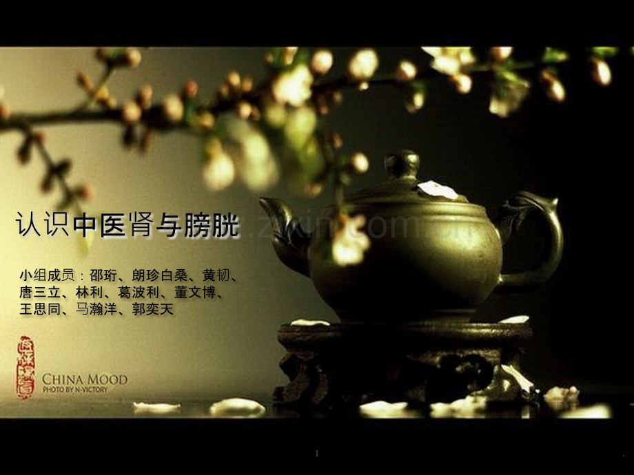 海王养生之旅关于届本科毕业生在线调查发布的通知.ppt_第1页