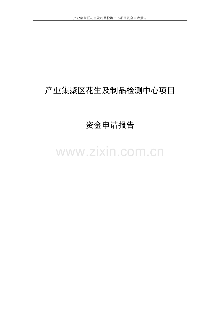 产业集聚区花生及制品检测中心项目资金可行性研究报告.doc_第1页