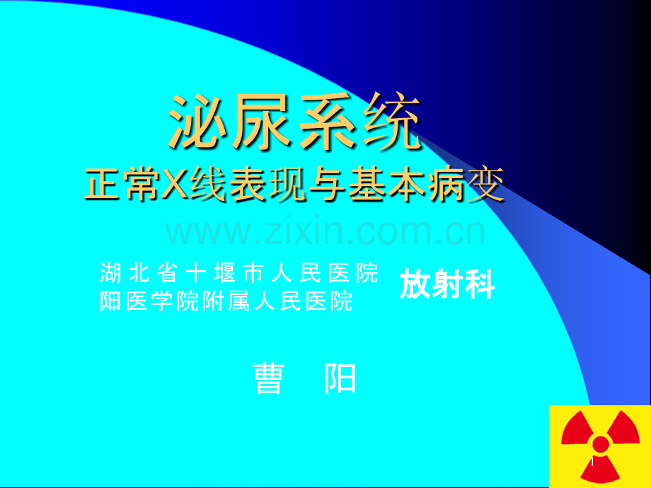 泌尿正常X线表现与基本病变.ppt_第1页