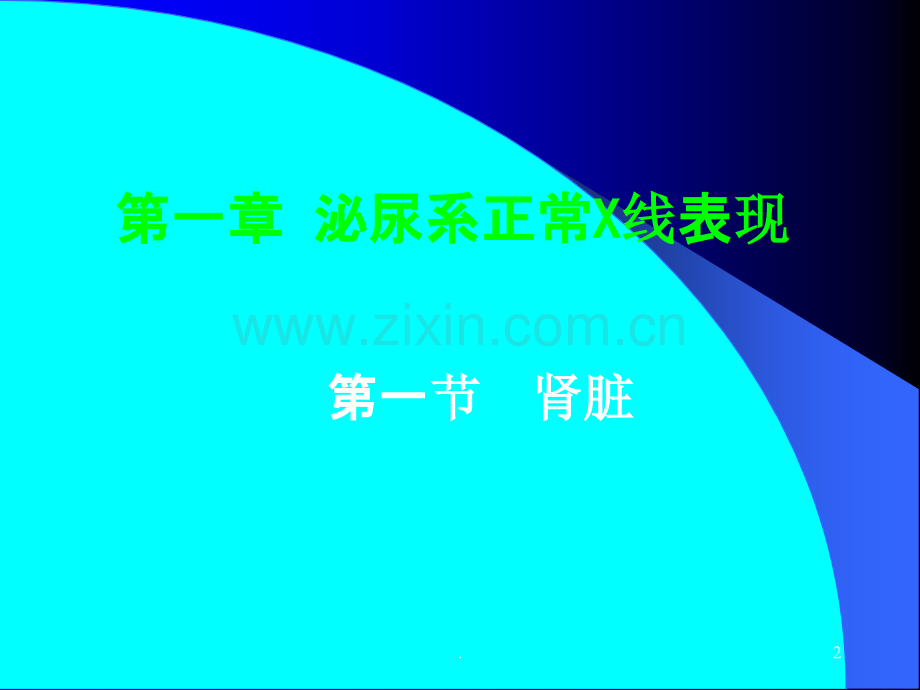 泌尿正常X线表现与基本病变.ppt_第2页